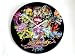 Ed Hardy Watch