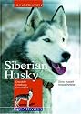 Siberian Husky: Charakter - Erziehung - Gesundheit