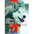 Siberian Husky: Charakter - Erziehung - Gesundheit