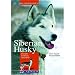 Siberian Husky: Charakter - Erziehung - Gesundheit