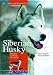 Siberian Husky: Charakter - Erziehung - Gesundheit Siberian Husky: Charakter - Erziehung - Gesundheit