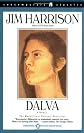 Dalva (Contemporary Classics (Washington Square Press))