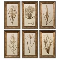 WHEAT GRASS I, II, III, IV, V, VI - S/6