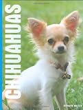 Chihuahuas
