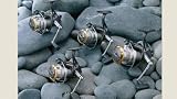 St. Croix - Avid Series Saltwater Reels: AS4000SW