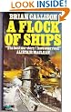 Flock of Ships