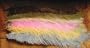 Ostrich Plume Feathers ::: Fly Tying Material ::: Crafts