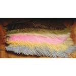 Ostrich Plume Feathers