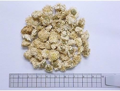 Herbal tea Chamomile (Roman) 500g