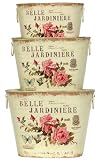 Belle Jardiniere Decoupage Tin Window Pail Set of 3 - Large = 11"x6 1/4"x8 1/4"H