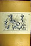 1877 Japanese Cavalry Infantry Military Old Print