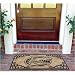 Florida Gators NCAA Door Mat