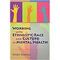 Working with Ethnicity, Race and Culture in Mental Health (A Handbook for Practitioners) (Paperback)