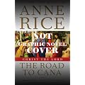 Christ the Lord: The Road to Cana - The Graphic Novel