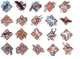 Embroidery Machine Designs CD NORTH AMERICAN ANIMALS 1