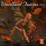 2012 Woodland Fairies Wall calendar