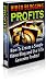 Video Blogging for Profits!