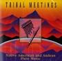 Tribal Meetings-Andean & Native Flute Music