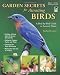 Garden Secrets for Attracting Birds: A Bird-by-Bird Guide to Favored Plants (Gardening)
