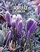 Books : Easter Ideals (Ideals Easter) (Ideals Easter)