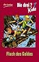 Die drei ??? Kids 11 - Fluch des Goldes: Erz�hlt von Ulf Blanck