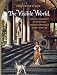 The Visible World: Samuel van Hoogstraten's Art Theory and the Legitimation of Painting in the Dutch Golden Age (Amsterdam Studies in the Dutch Golden Age)