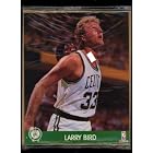 Larry Bird 8x10 Card Photo (NBA Hoops Action Photos 1990) by Larry Bird