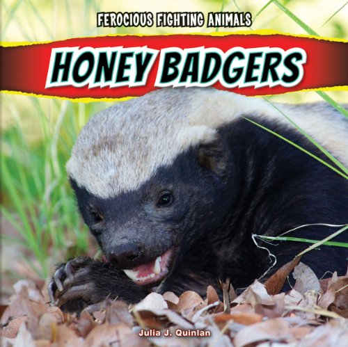 Honey Badgers (Ferocious Fighting Animals)