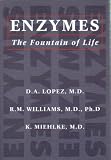 Enzymes: The Fountain of Life