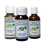 Native Remedies Focus Formula; Brightspark And Brain Toic Ultrapack (two Of Each), 0.6 Units