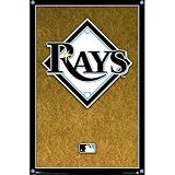 (24x36) Tampa Bay Rays (New Logo) Sports Poster Print