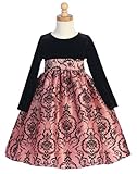 IMAGE OF Black Stretch Velvet Bodiced dress with Flocked Pink Taffeta Skirt - Size 5