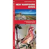 new hampshire birds a folding pocket guide to familiar species pocket naturalist guide series