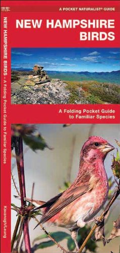 New Hampshire Birds: A Folding Pocket Guide to Familiar Species (Pocket Naturalist Guide Series)