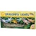 Grasslands Road LED 7-1/12-Foot Color Changing Dragonfly Strand Indoor Patio Lights, Battery Operated