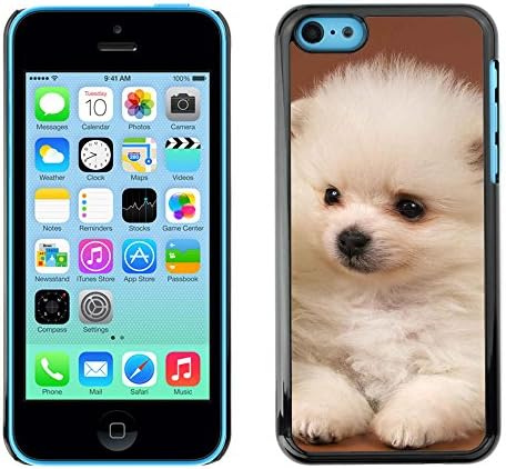 ZOOCASE Slim PC / Aluminium Sleek Case Cover Armor Shell - white puppy japanese spitz volpino italiano - Apple Iphone 5C
