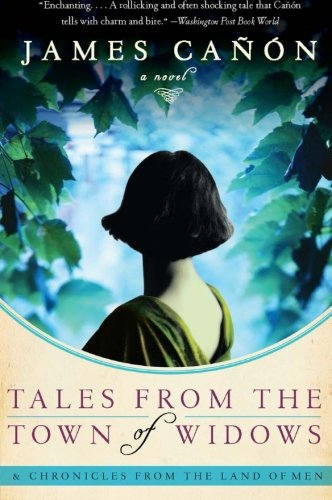 Tales from the Town of Widows: A Novel