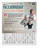 IMAGE OF 17x25x1 (Actual Size) Accumulair Platinum Filter (MERV 11) (2 Pack)