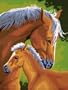 Dimensions Needlecrafts Paintworks Paint By Number, Mother & Colt