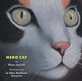 Hero Cat
