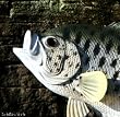 Taxidermy Quality 12" Fiberglass Crappie Wall Mount