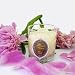 White rose hana beeswax candle with honey suckle scent