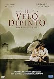 Il velo dipinto
