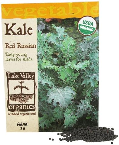 Lake Valley Seed - Organic Kale Red Russian Seeds - 2 Grams
