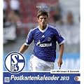 FC Schalke 04 2013. Sammelkarten Postkartenkalender
