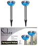 Stainless Steel Dome Blue Solar Lights Set of 2
