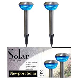 Stainless Steel Dome Blue Solar Lights Set of 2