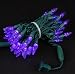 Novelty Lights, Inc. CGC6LED70 Commercial Grade LED Christmas Mini Light Set, C6 Stawberry Bulb, Green Wire, Purple, 70 Light, 24' Long