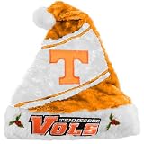Tennessee Volunteers Mistletoe Santa Hat