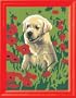 Golden Pup Paint By Numbers